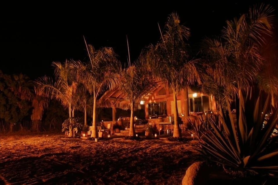 Tropical Night