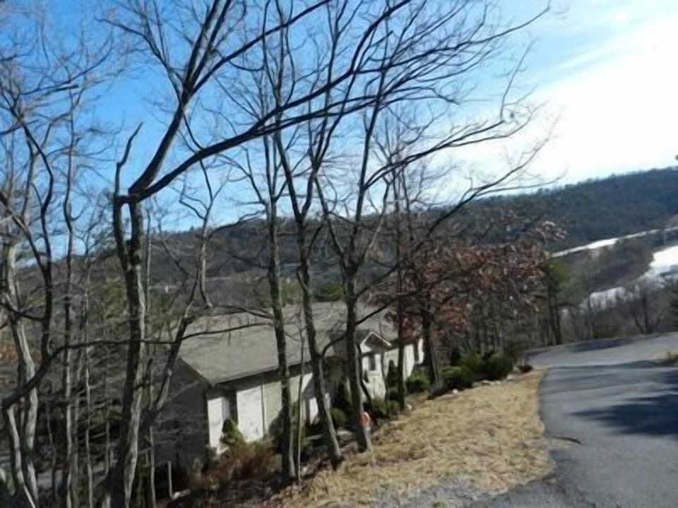 Front view of house nestled in between the trees.