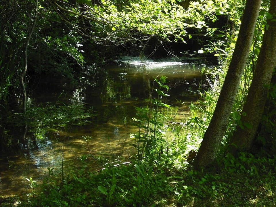 Small waterfall and stream running through the garden