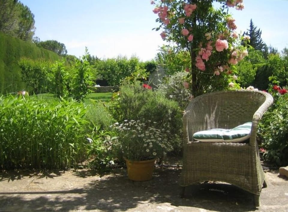 terrace, garden, orchard - from the house looking towards orchard & pool