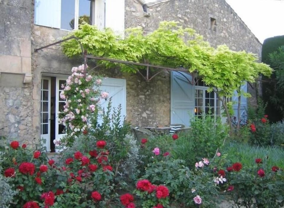 house, from the garden. Breakfast table under wysteria-covered arbor