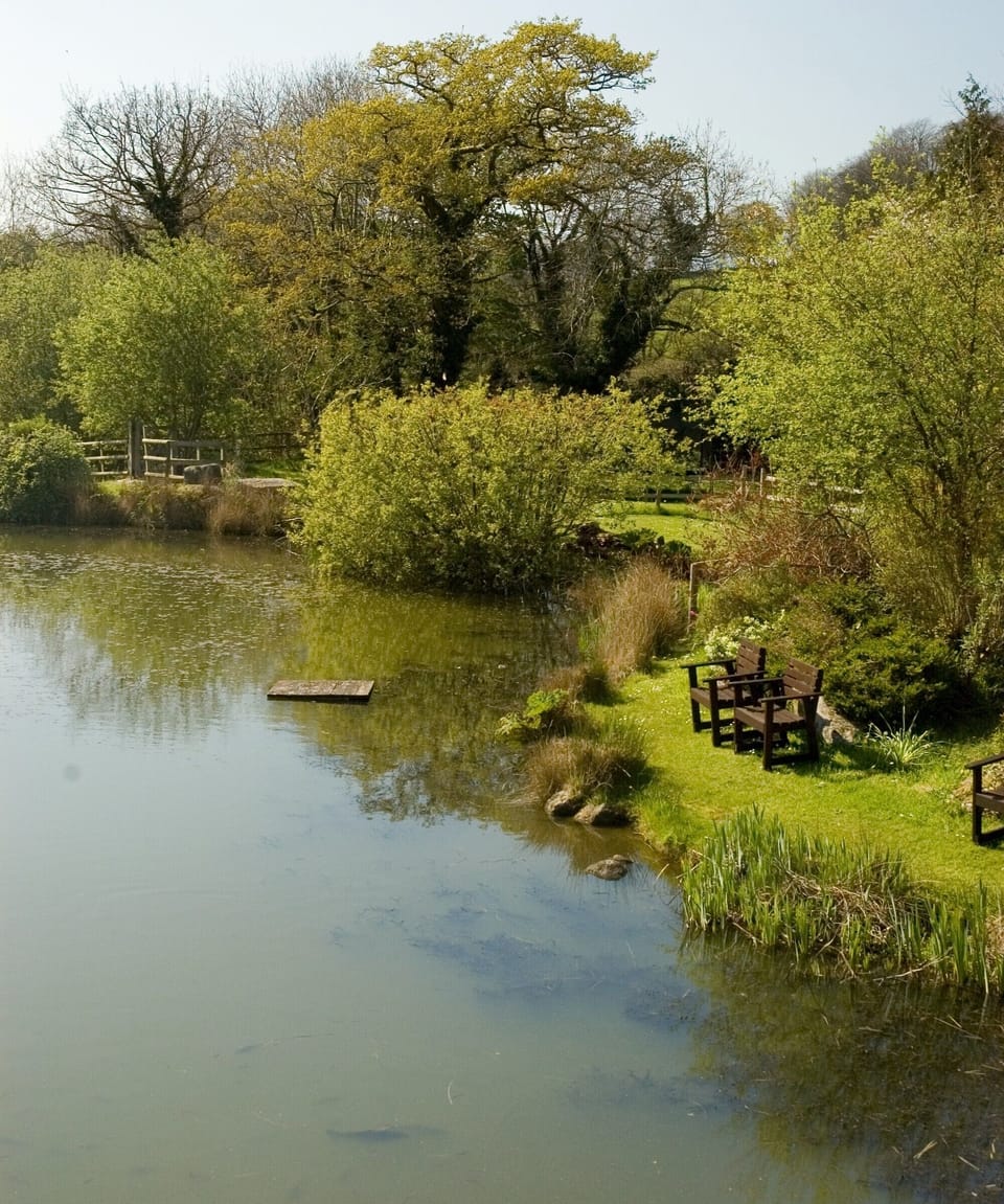 2 well stocked, peaceful fishing ponds