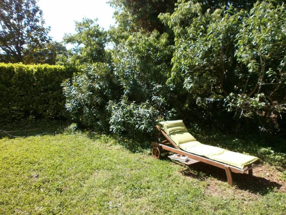 Garden, Park