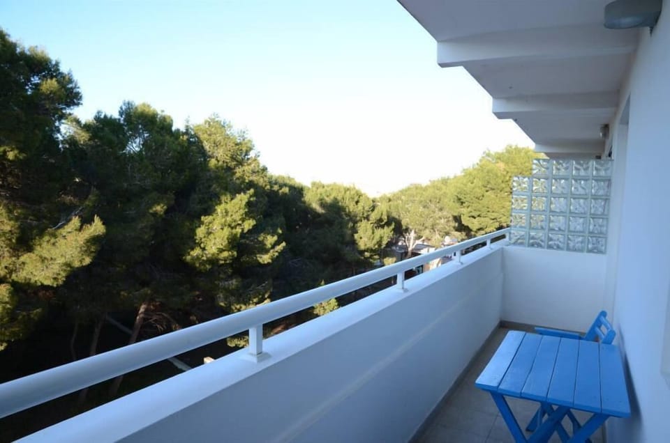 Terrace / Balcony