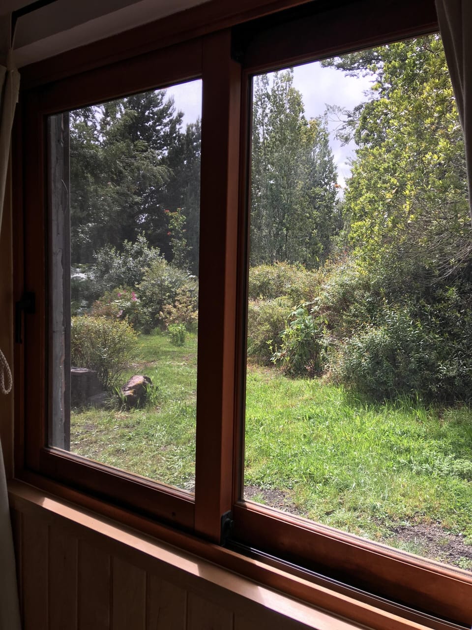 Twin Bedroom Forest View