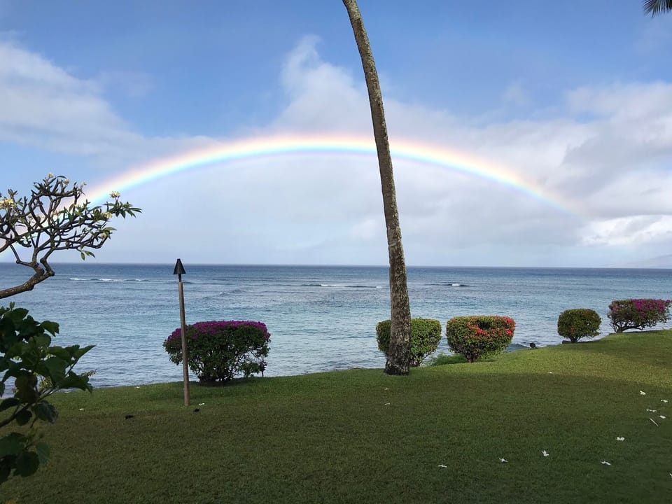 View from our lanai after a light tropical shower