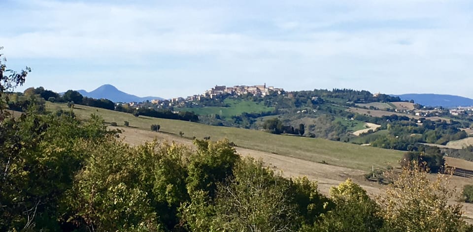 Panoramic view from the pool area
