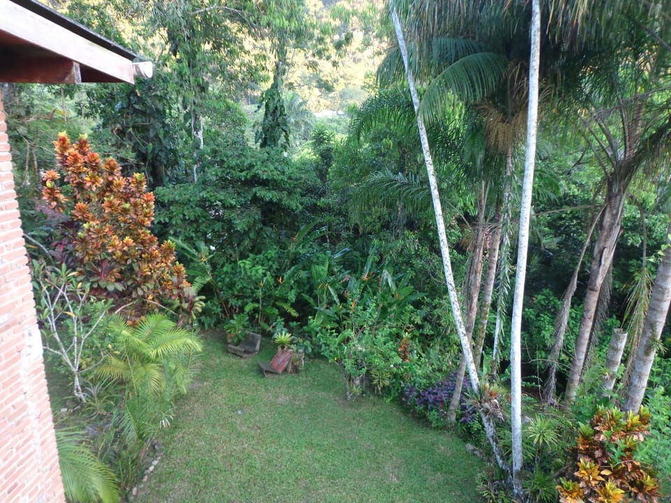 One more piece of garden