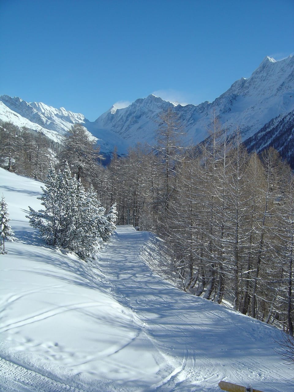 Snow and ski sports