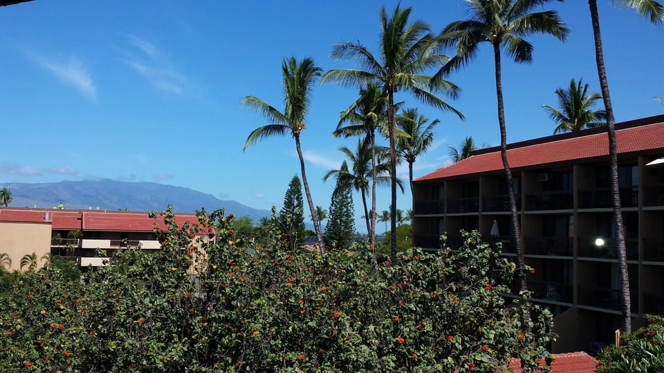 View from lanai of West Maui Mountains, swaying palms trees.  