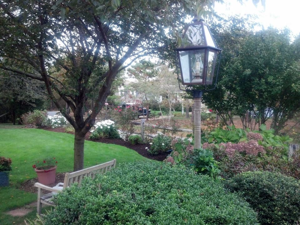 Front Yard