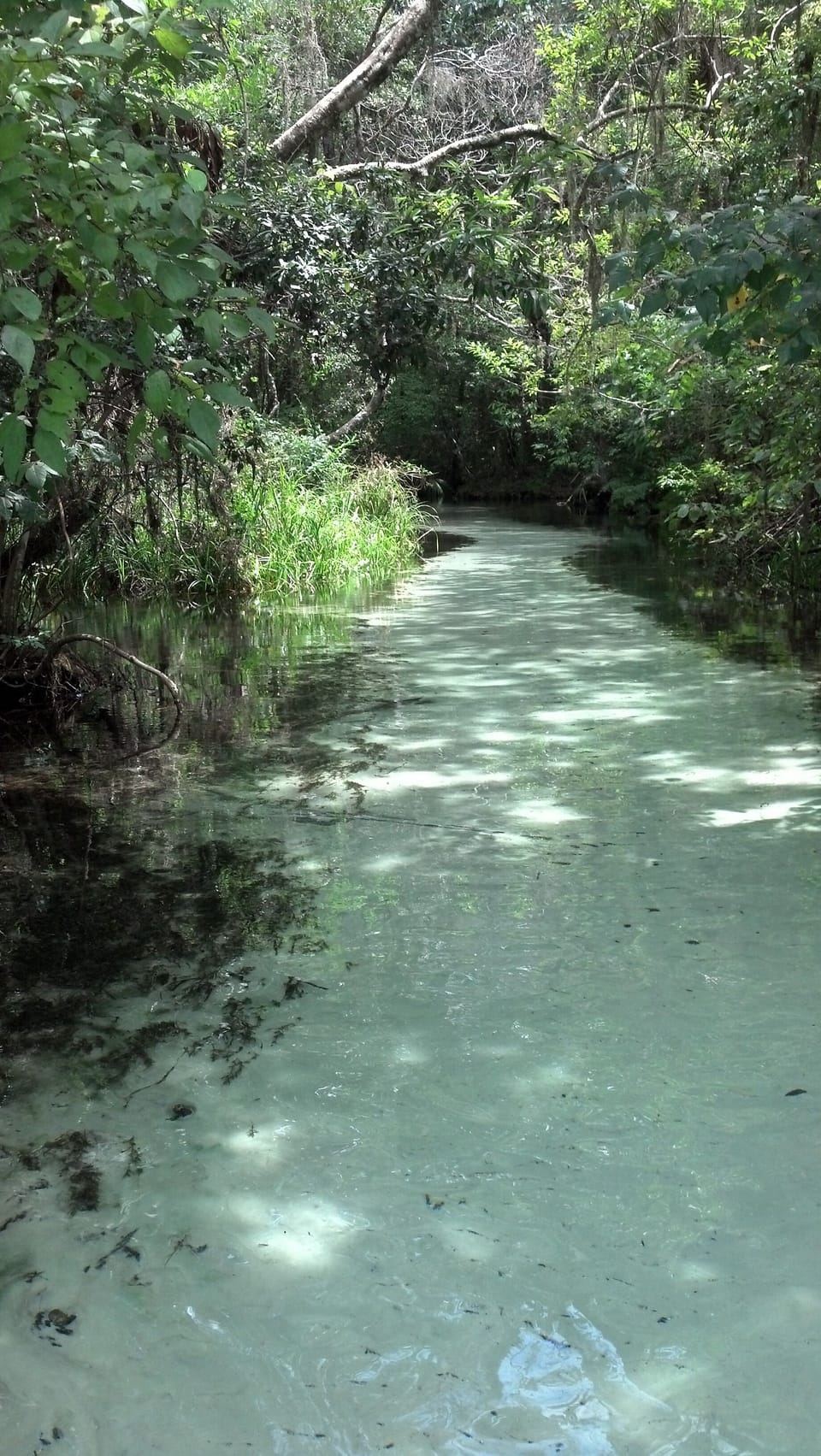 Gissy Springs Path