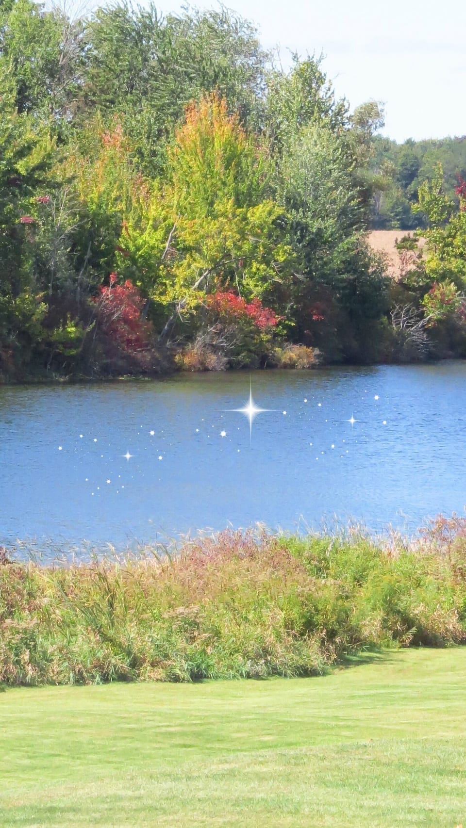 Beautiful scenery here at mirror Lake