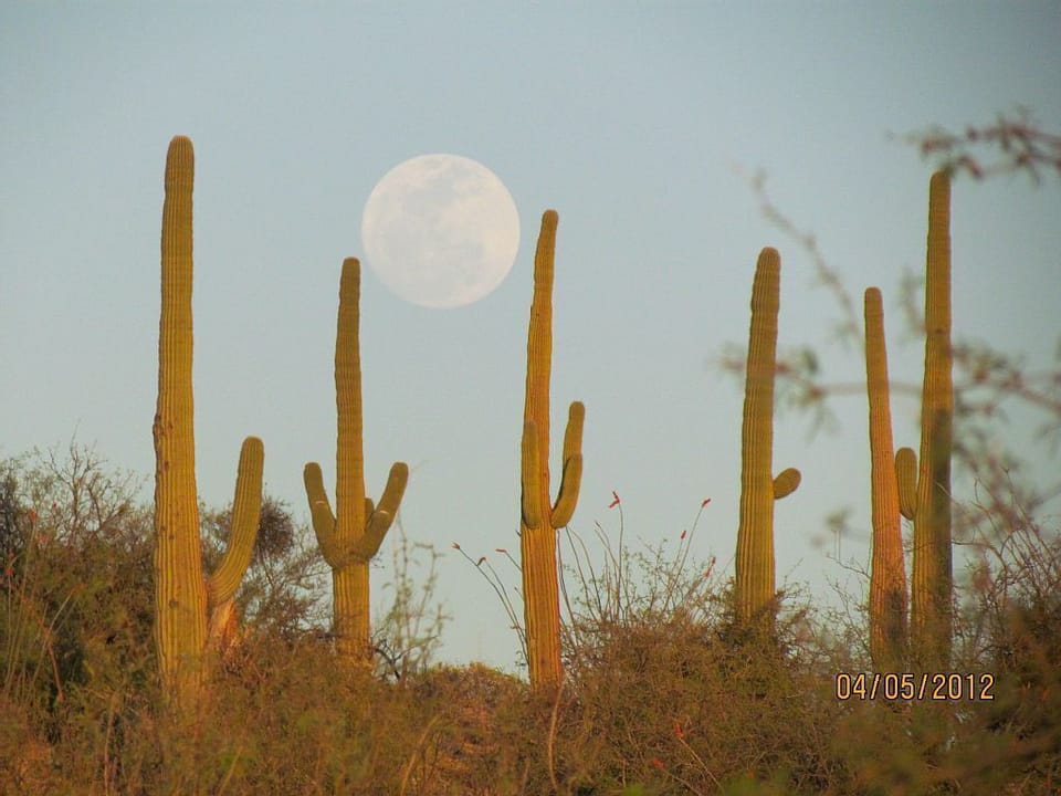 Good timing!  A full moon Sabina Canyon hike