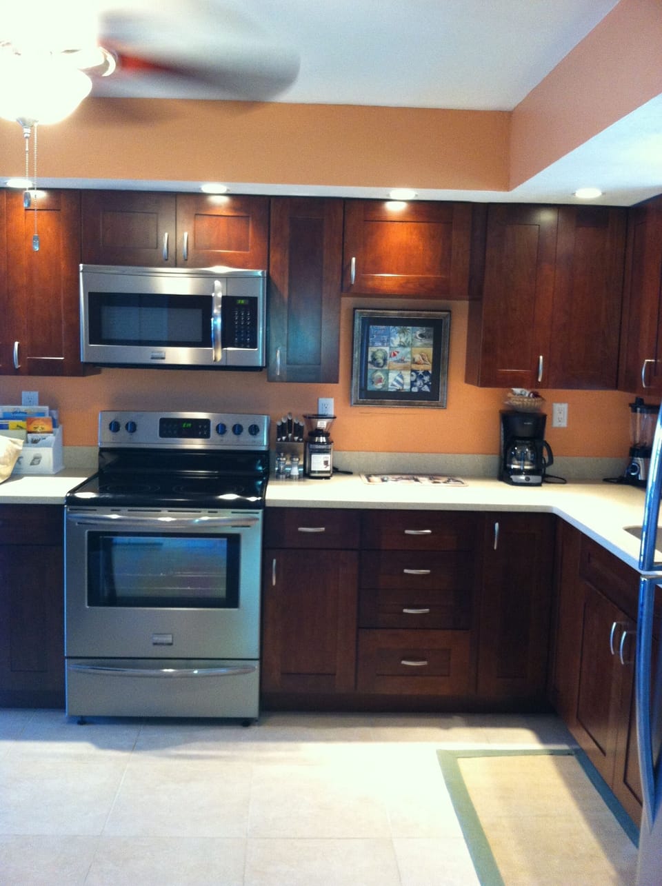 New Stainless Steel Appliances