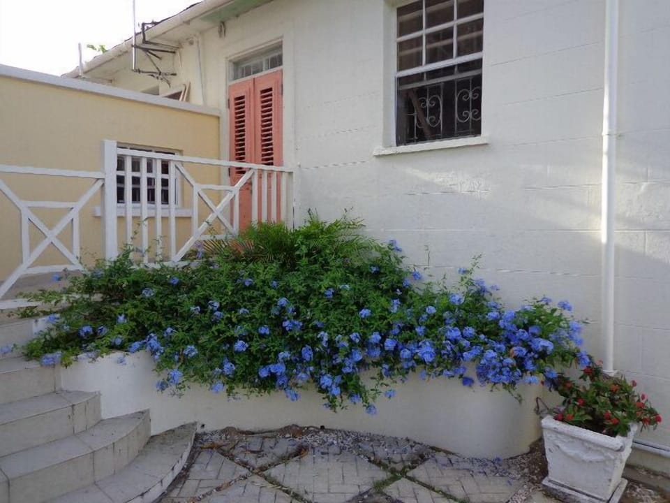 Back Entrance