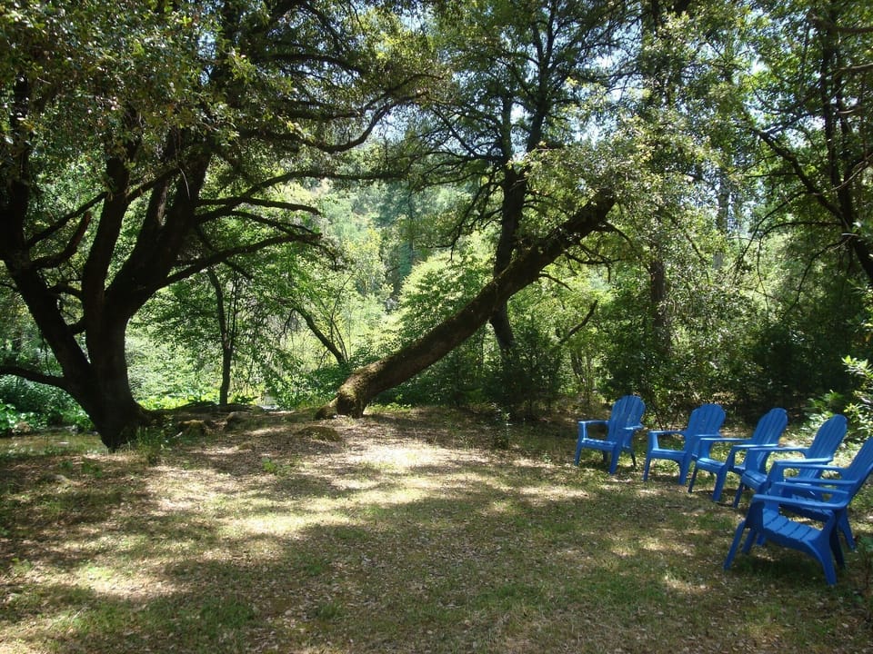 Creek-side Respite