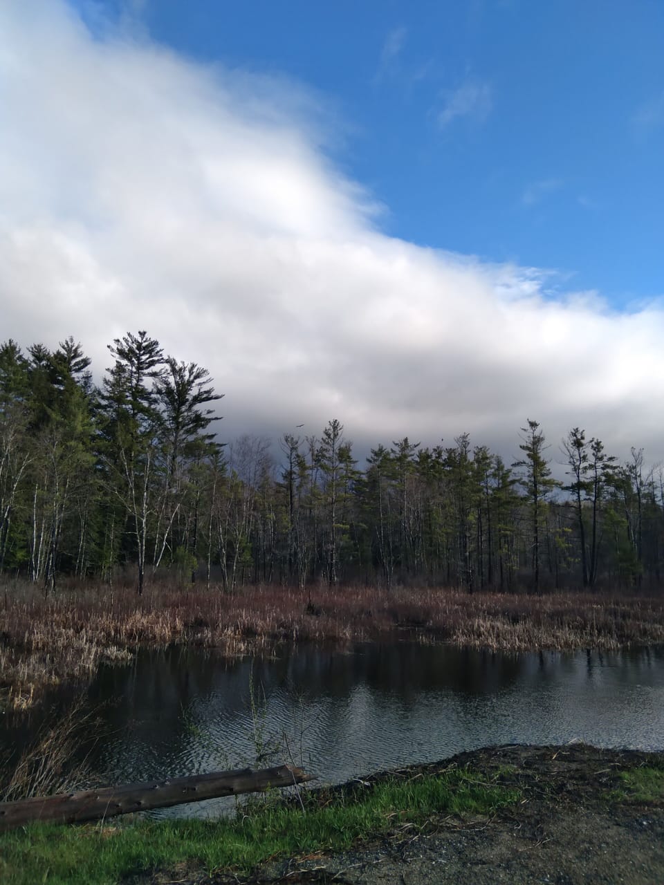 Lake