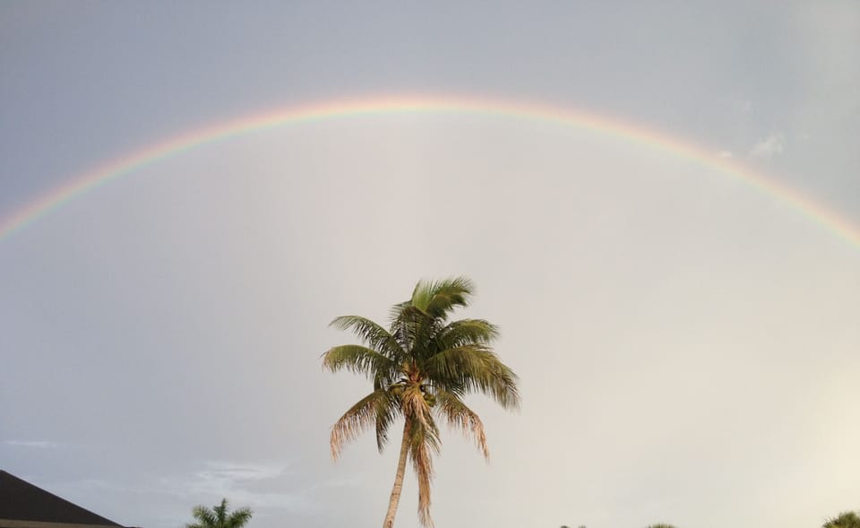backyard rainbow