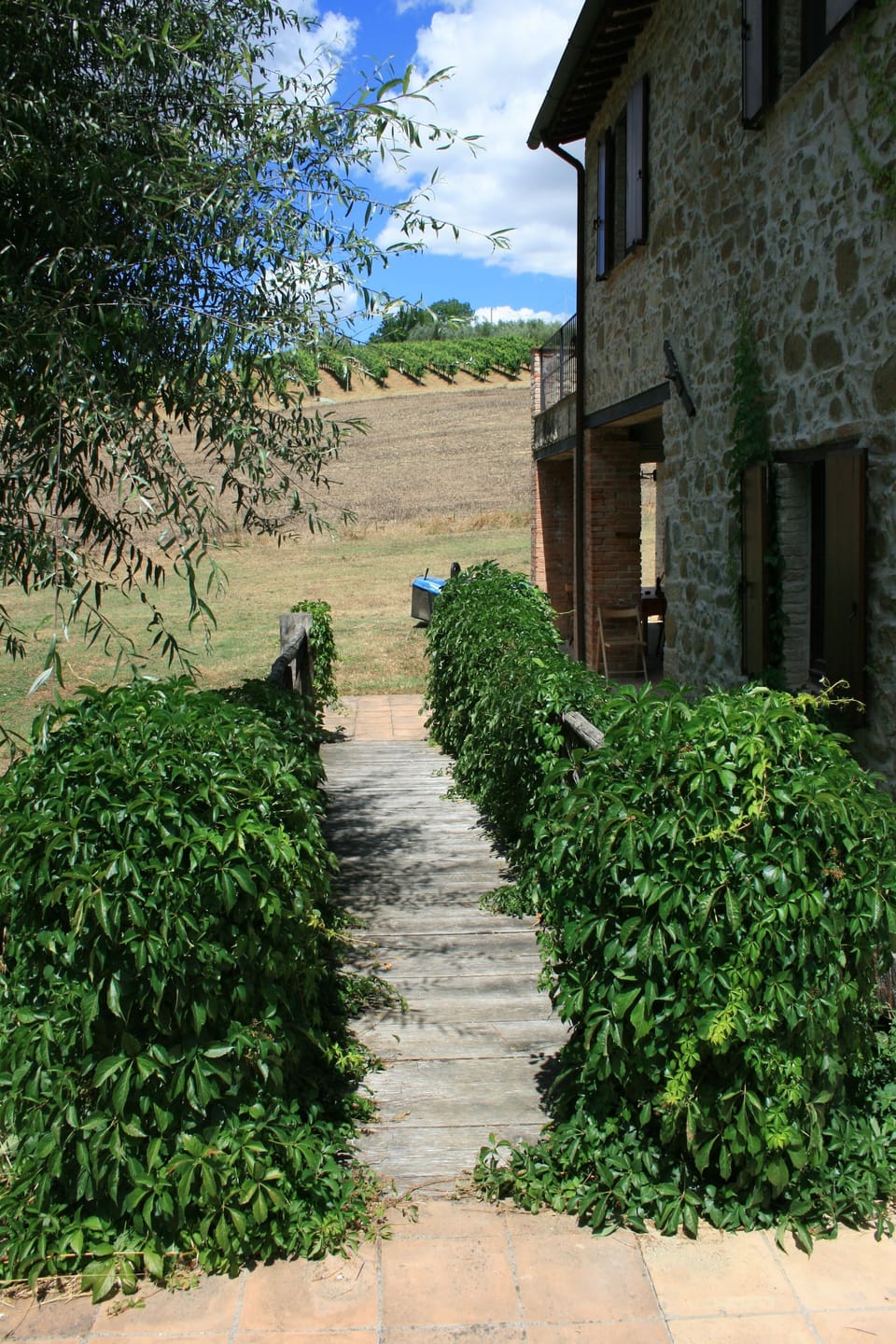 Bridge to the west terrace