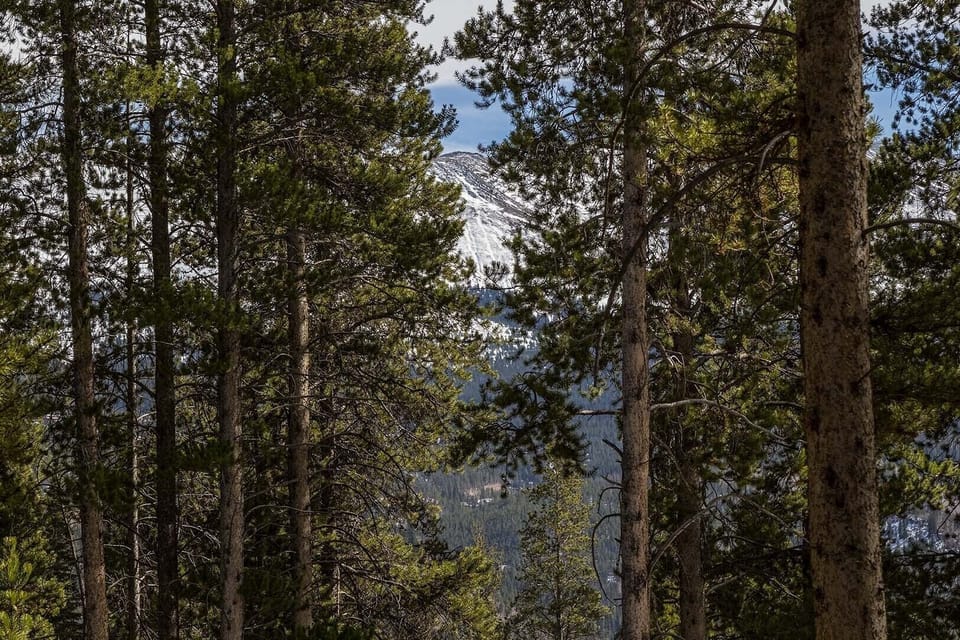 Mountain View From Deck, Living Room & Master Bedroom