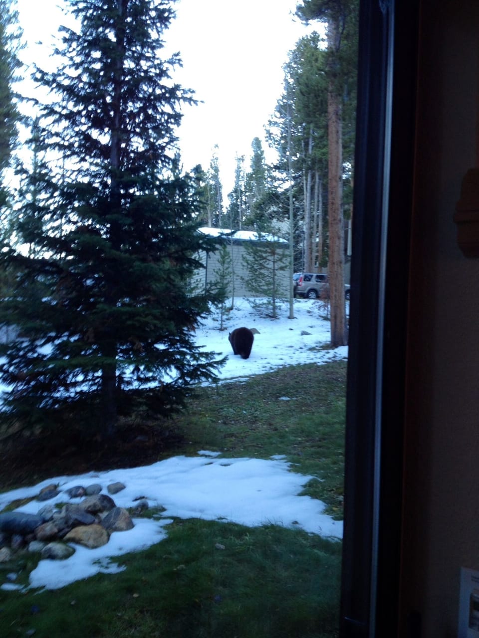 From Entertainment Room Patio Door 
