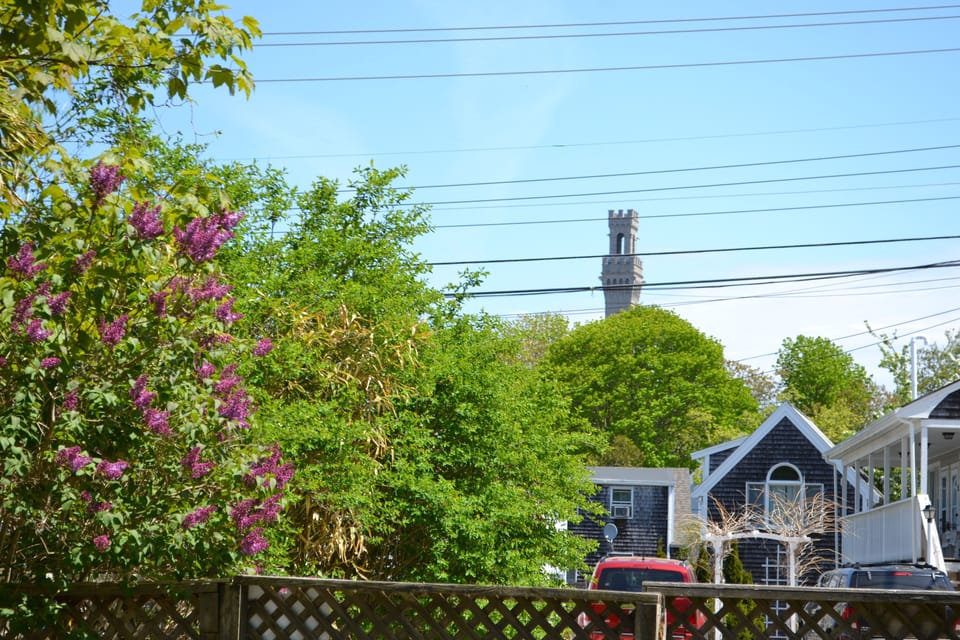 Great view from the patio