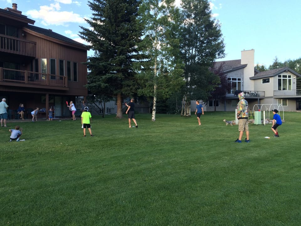 Great, spacious back yard.  