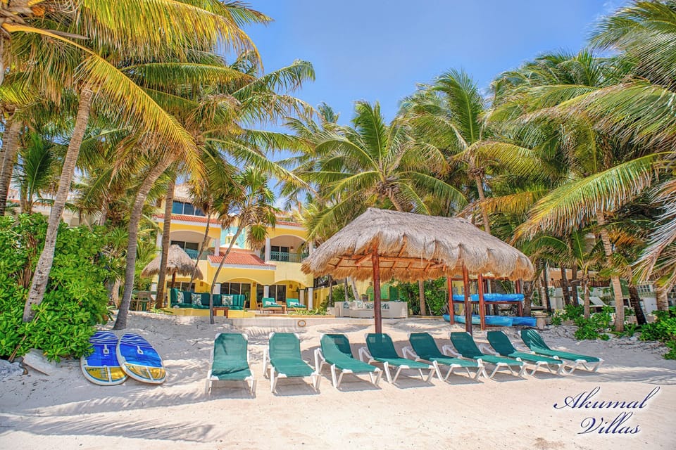 Villa Iguana, Soliman Bay