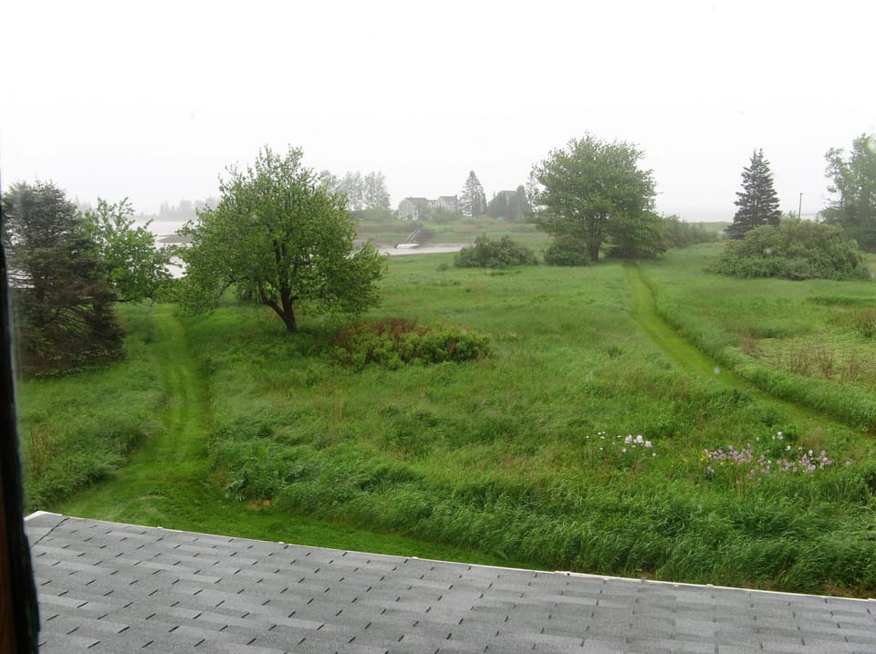 Meadow paths in fog drift 
