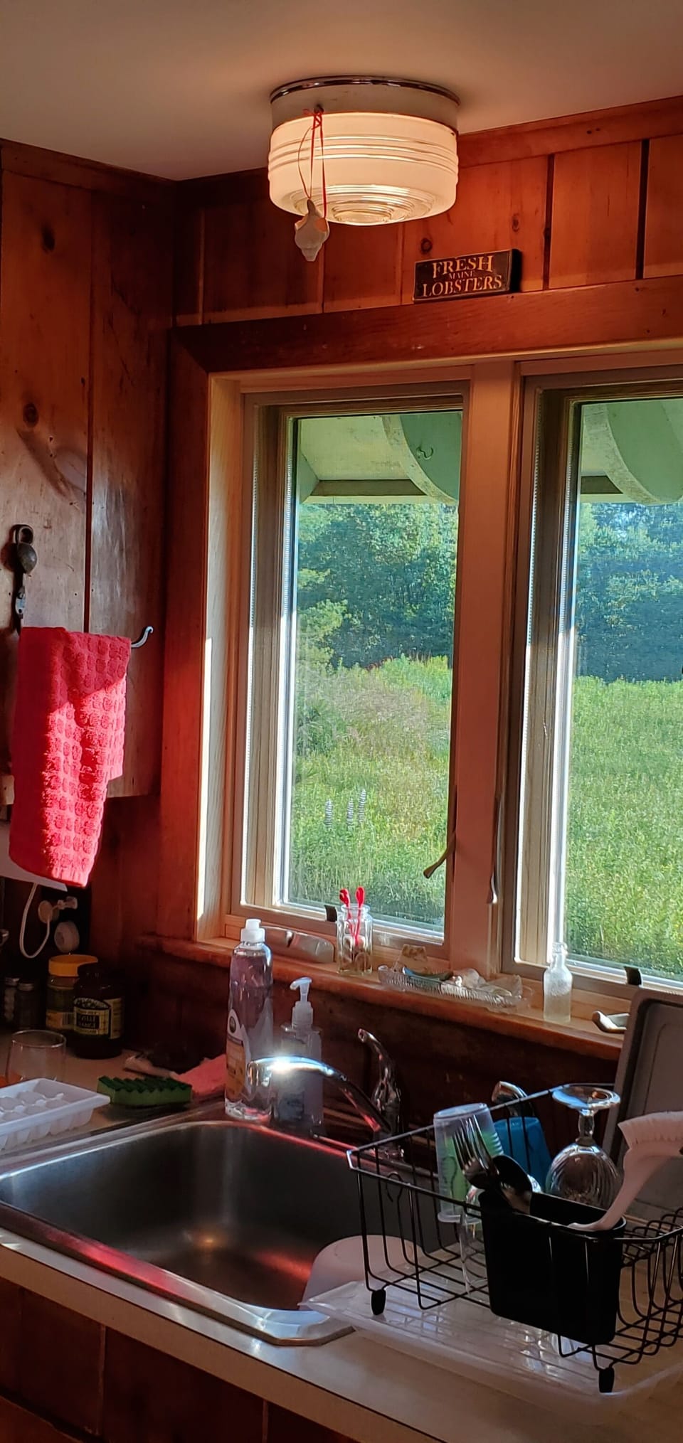 Your good morning kitchen window