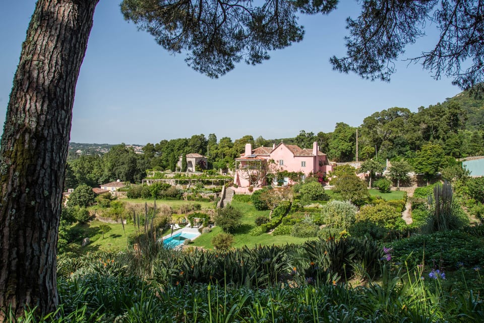 View of the Quinta and Chapel from the forest
