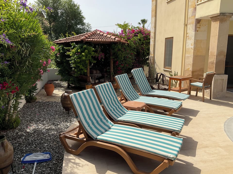 Loungers