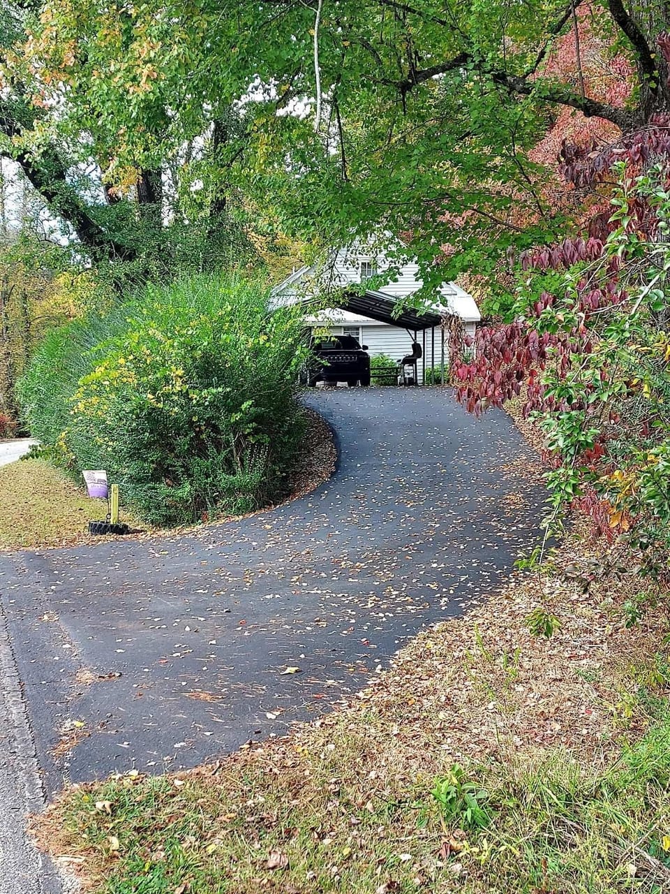 Image of driveway joining 2 lane country road and covered parking area