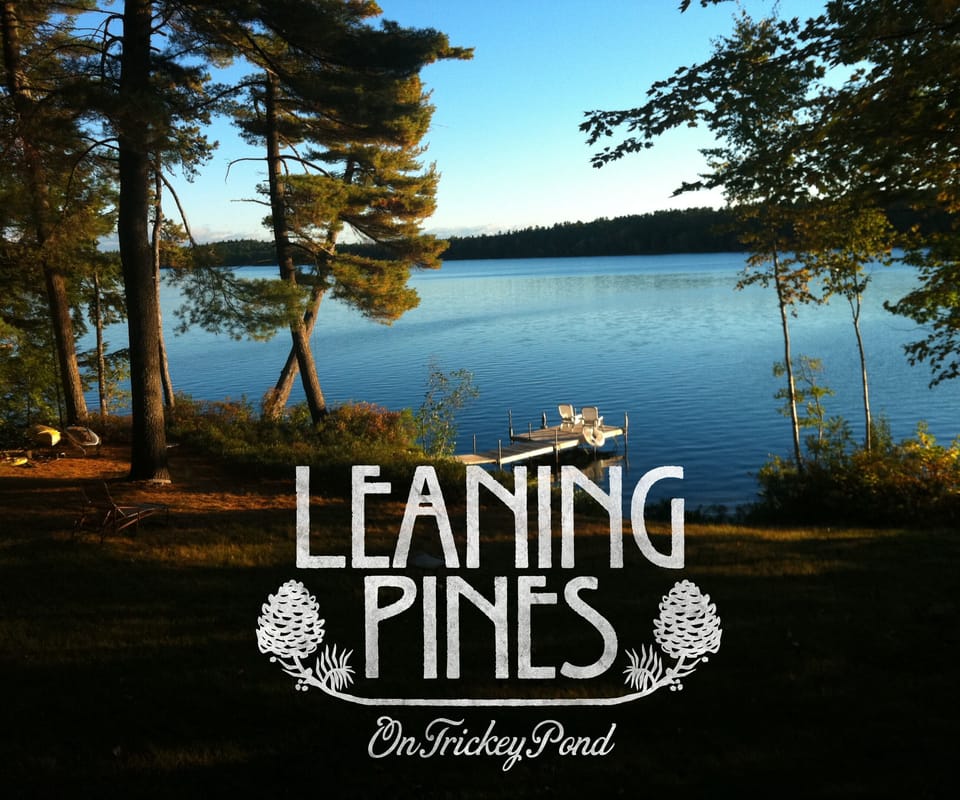 Magical mornings on Trickey Pond.