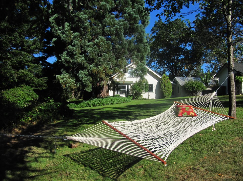 Relaxing hammock