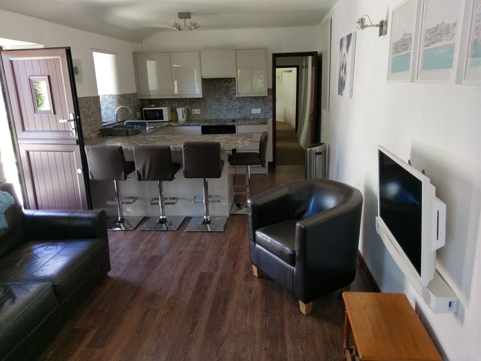 Open plan living room and kitchen.