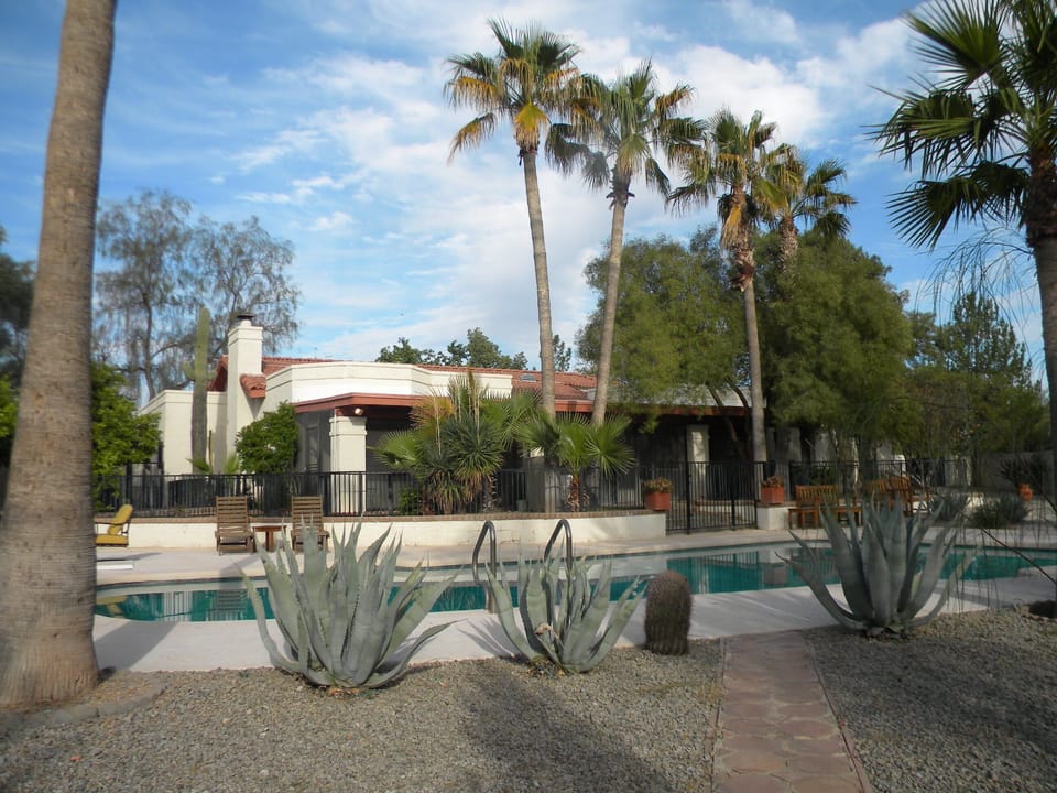 back yard