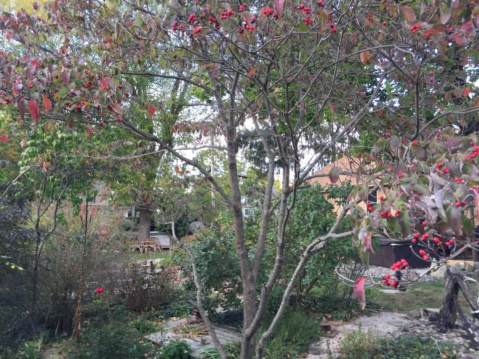 Lush Garden setting short walk to beach