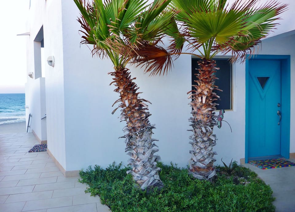 Front Entry and walkway to the lower deck.
