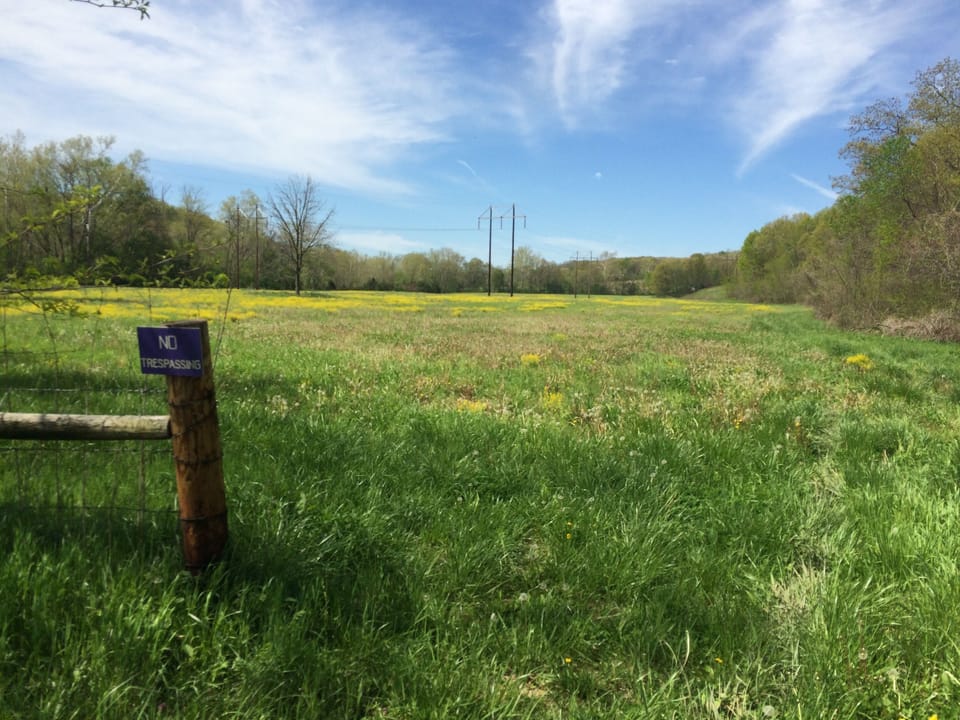 Spring in the Lower Middle Field