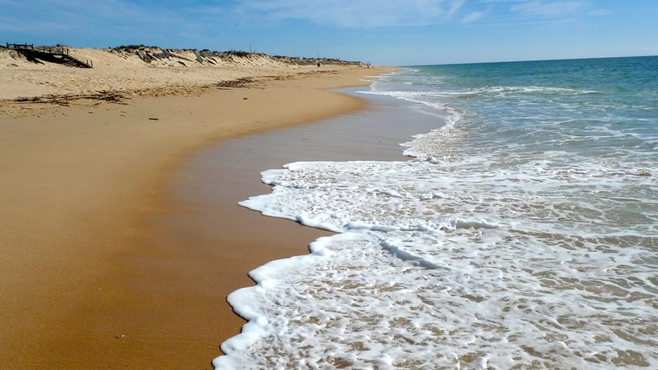 The beach