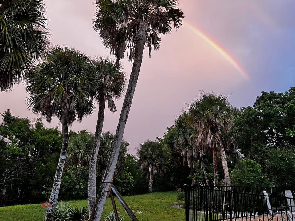Rainbow over the bayou from behind the house.