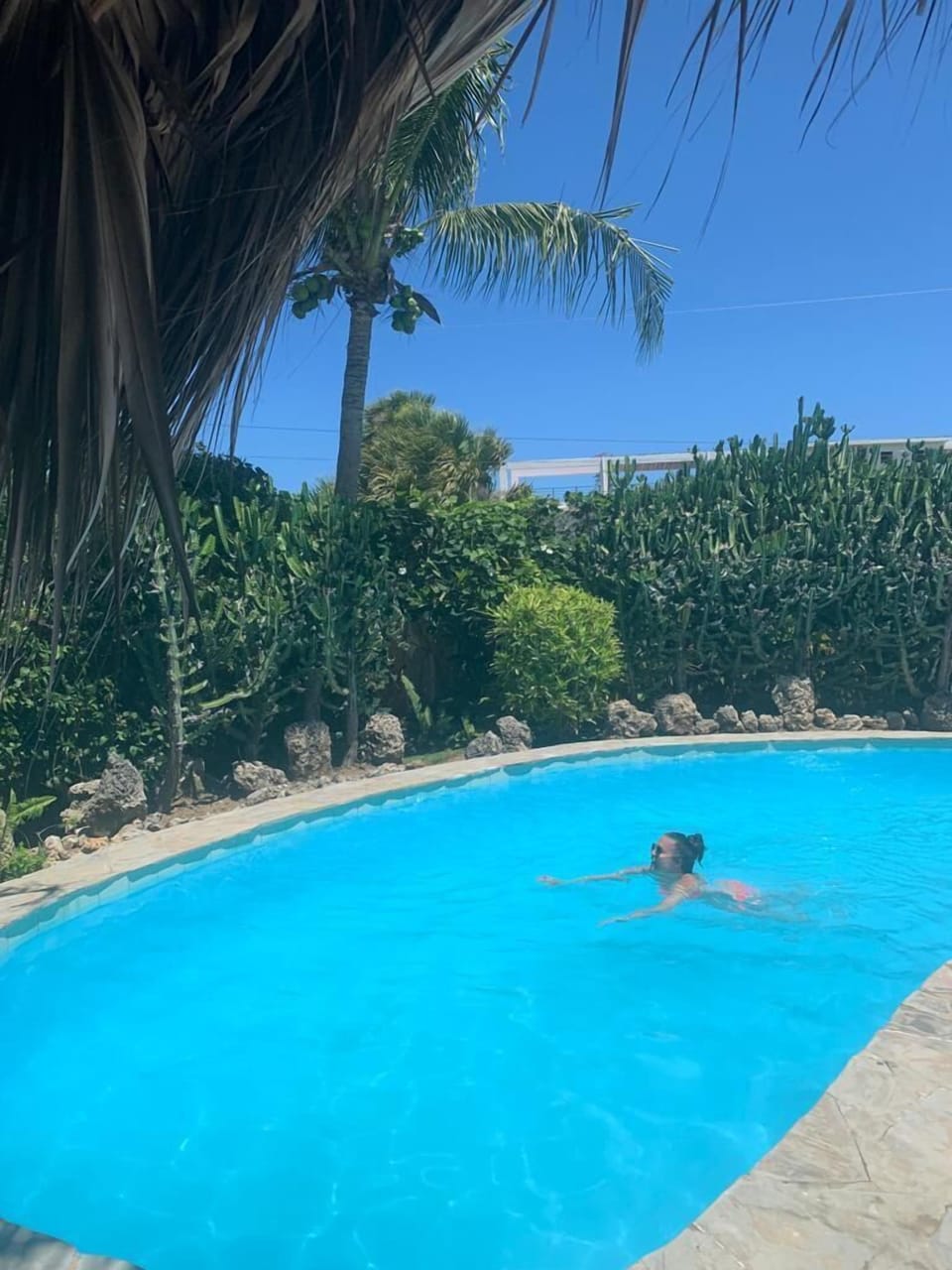 Swim in the tropical garden pool.