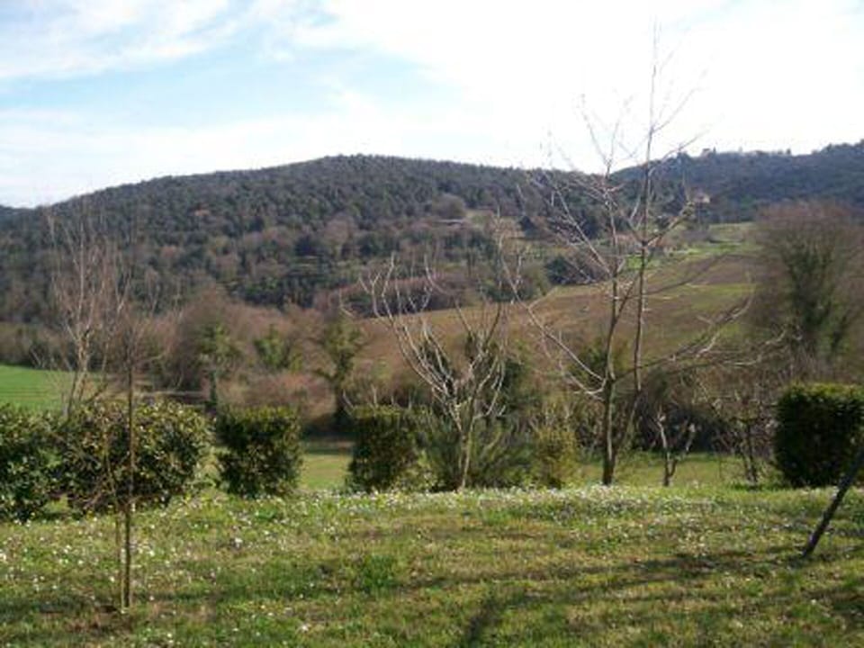view from the house in winter