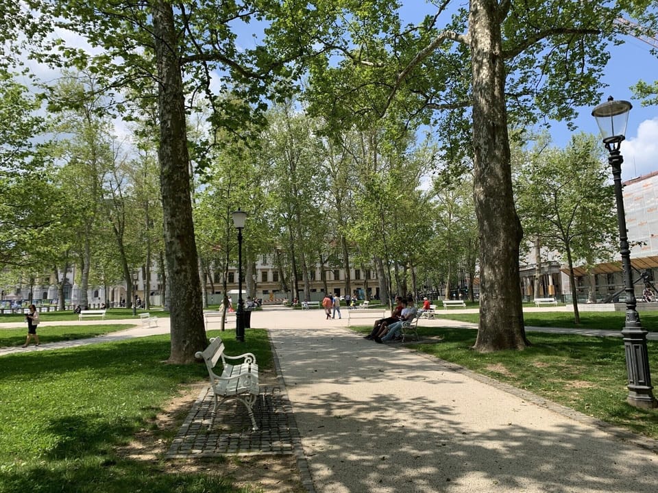 Zvezda park where our building is located