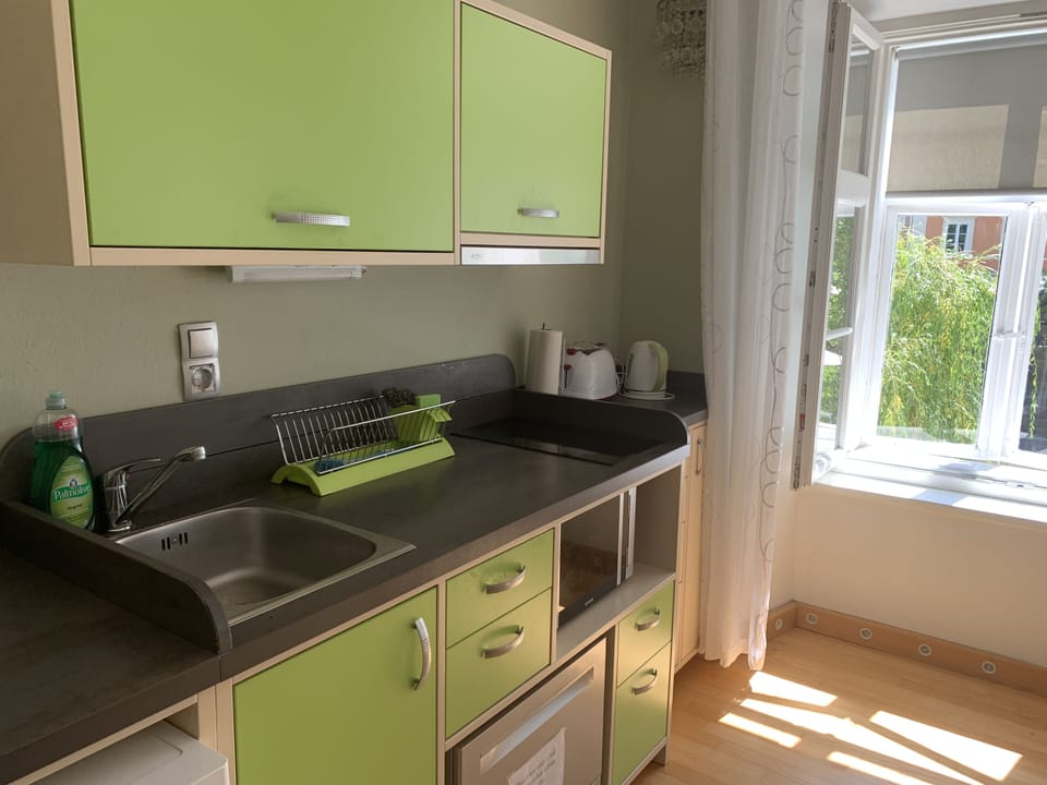 The kitchen has a microwave, dishwasher, electric stovetop, blender, etc.
