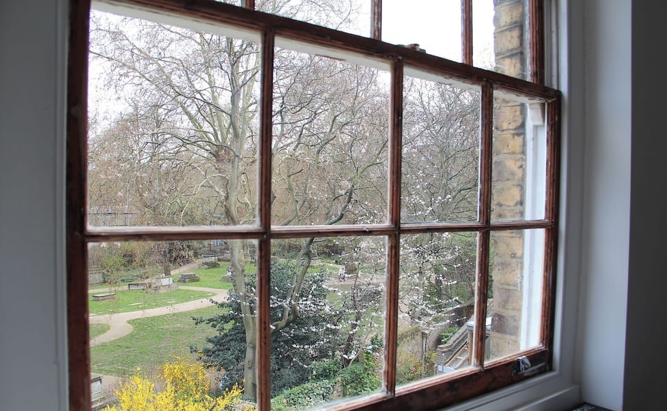 REAR WINDOW