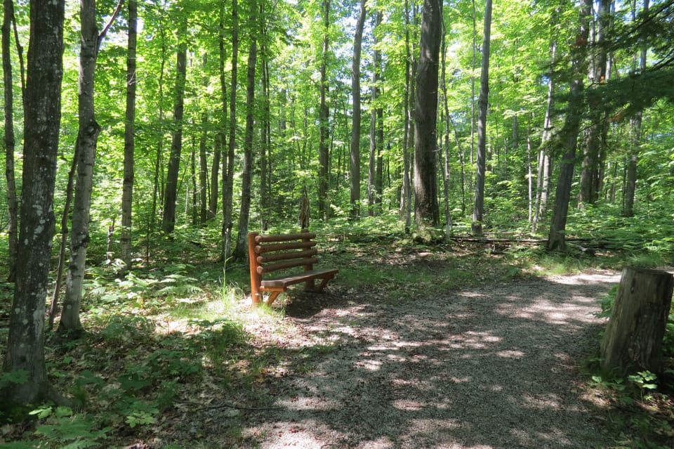 If you want to just sit and soak up nature, there are benches along the trail.