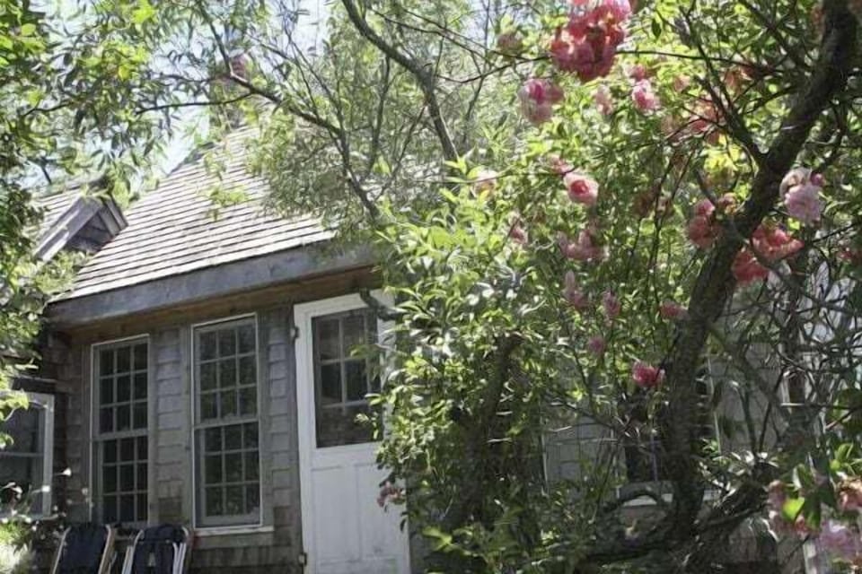The Beach Cottage from the front